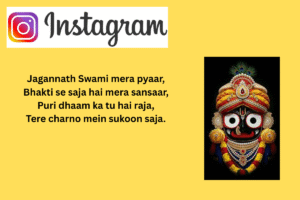 110+ Jay Jagannath Instagram Bio || Jay Jagannath Puri