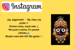 110+ Jay Jagannath Instagram Bio || Jay Jagannath Puri