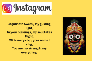 110+ Jay Jagannath Instagram Bio || Jay Jagannath Puri