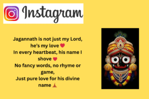 110+ Jay Jagannath Instagram Bio || Jay Jagannath Puri