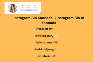 499+Instagram Bio in Kannada (ಕನ್ನಡ) | Kannada Bio for Instagram 2024