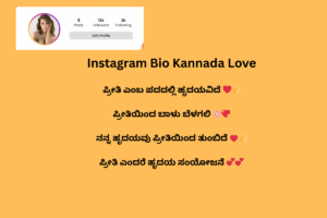 499+Instagram Bio in Kannada (ಕನ್ನಡ) | Kannada Bio for Instagram 2024