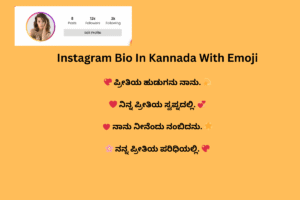 499+Instagram Bio in Kannada (ಕನ್ನಡ) | Kannada Bio for Instagram 2024