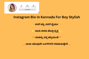 Instagram Bio In Kannada For Boy Stylish