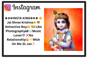 209+ Best Krishna Bio For Instagram || Dwarkadhish Bio 2024
